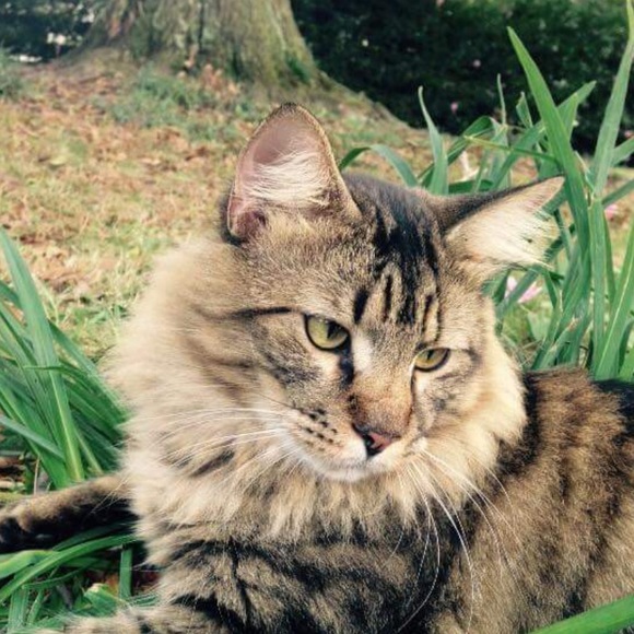 Meet your Posher, Doris - Picture 2 of 7